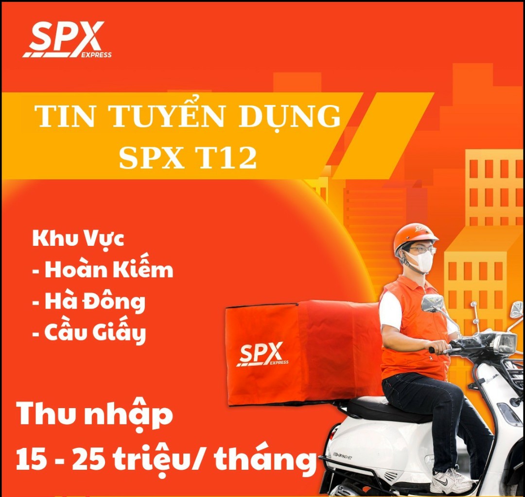 lĩnh vực hoạt động
